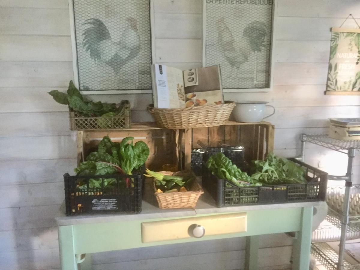 Bilocale In The Farm- Malpensa-Lago Maggiore Varallo Pombia エクステリア 写真