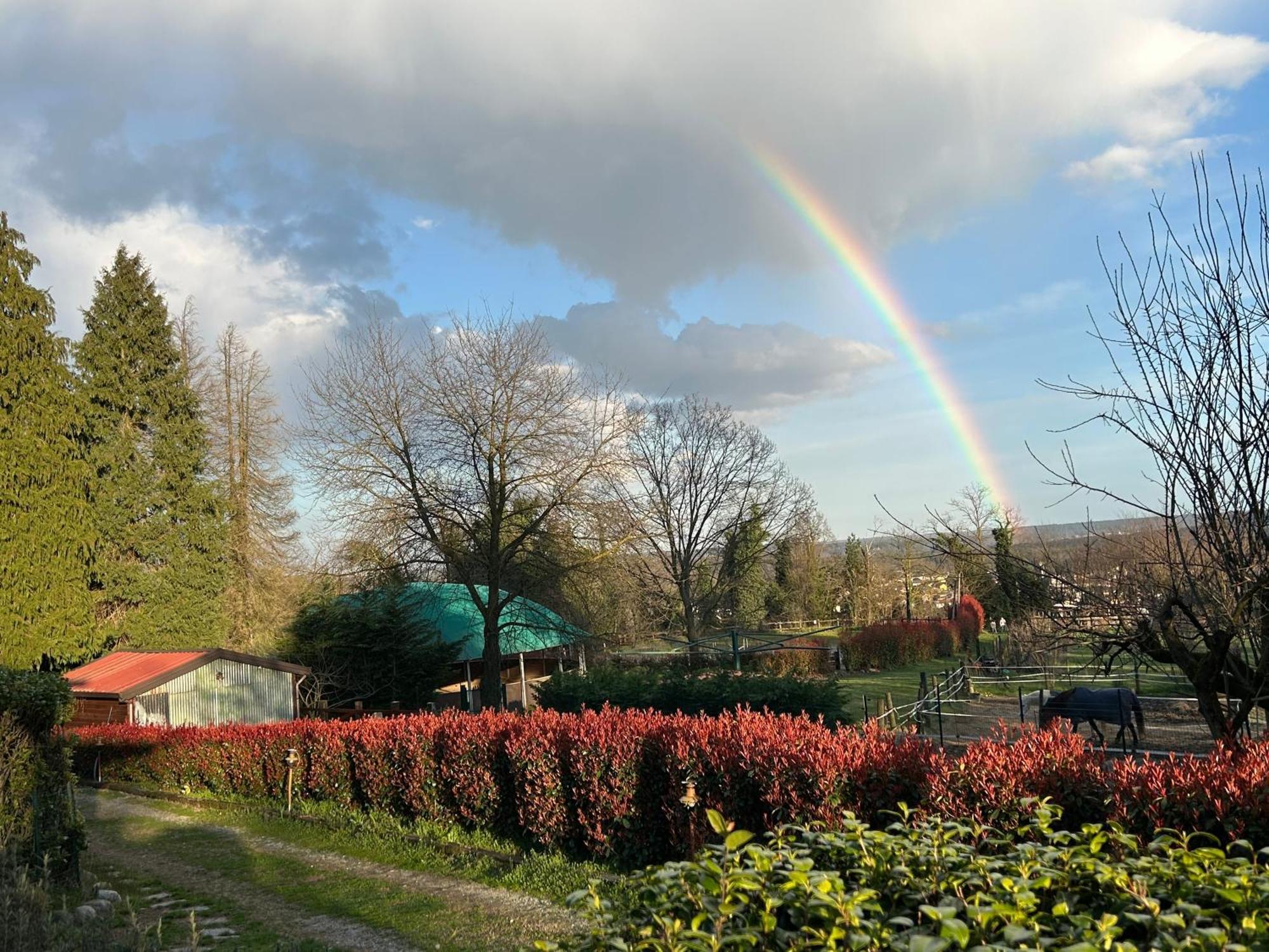 Bilocale In The Farm- Malpensa-Lago Maggiore Varallo Pombia エクステリア 写真